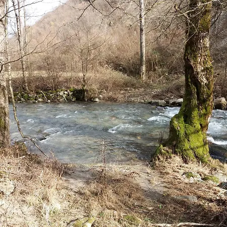 Neretvica *