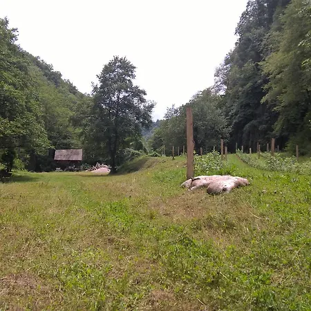Neretvica Konjic